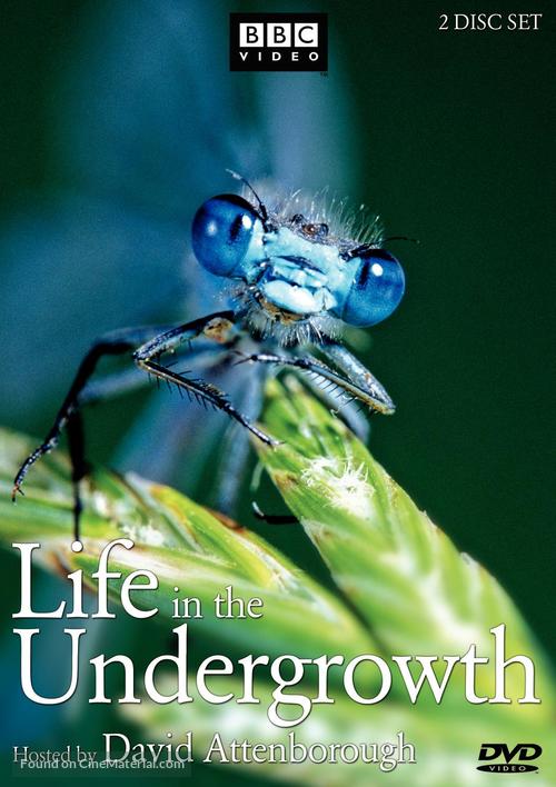 &quot;Life in the Undergrowth&quot; - DVD movie cover