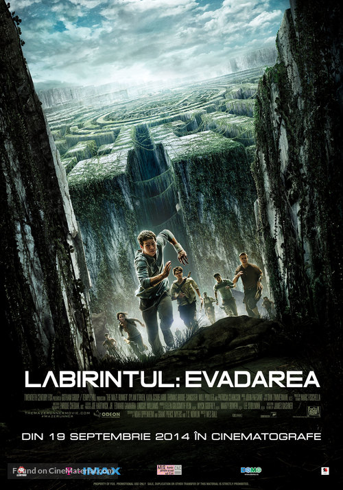 The Maze Runner - Romanian Movie Poster