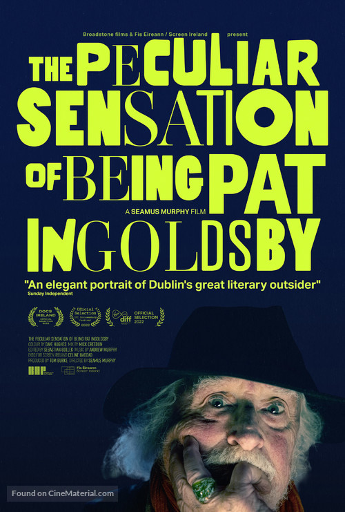 The Peculiar Sensation of Being Pat Ingoldsby - Irish Movie Poster