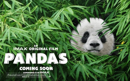 Pandas - Movie Poster