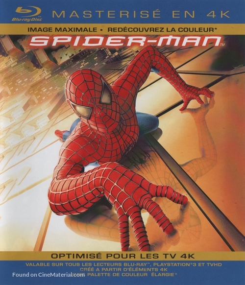Spider-Man - French Movie Cover