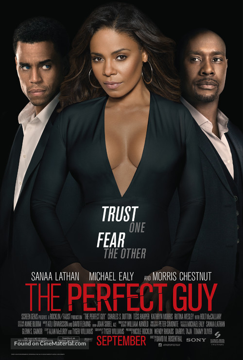 The Perfect Guy - Movie Poster
