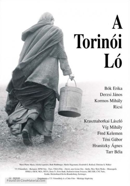 A torin&oacute;i l&oacute; - Hungarian Movie Poster
