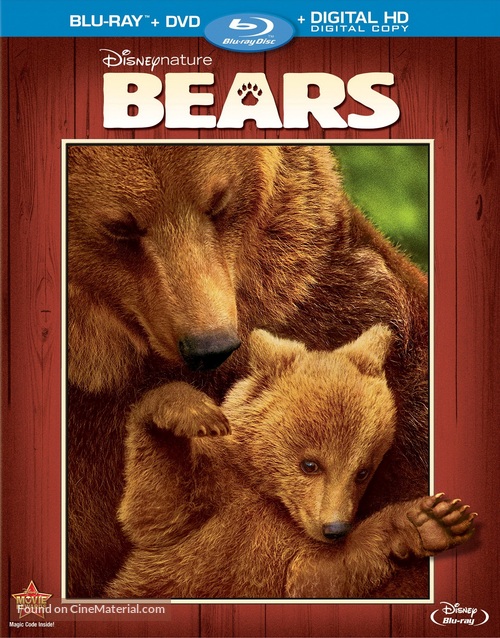 Bears - Blu-Ray movie cover