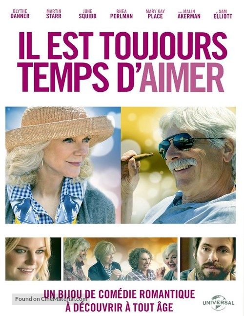 I&#039;ll See You in My Dreams - French DVD movie cover