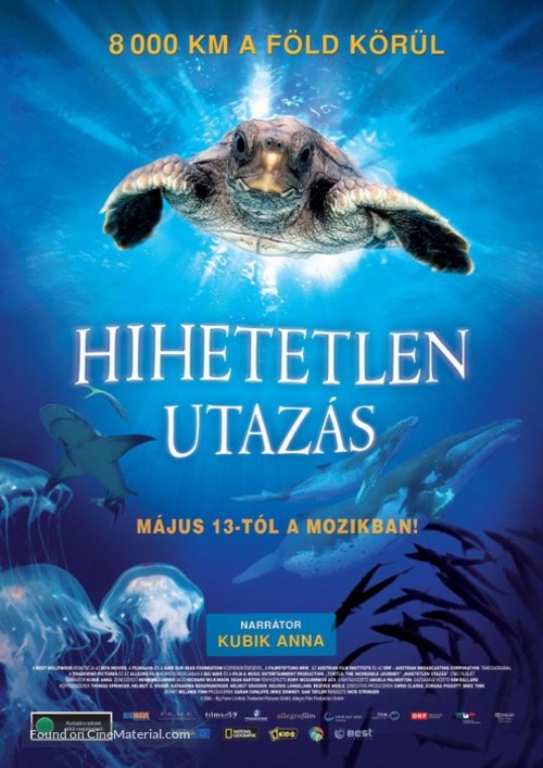 Turtle: The Incredible Journey - Hungarian Movie Poster