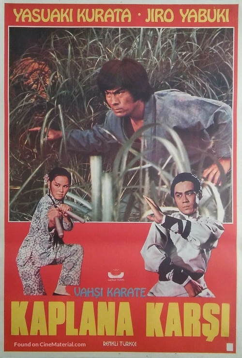 Hissatsu onna kenshi - Turkish Movie Poster