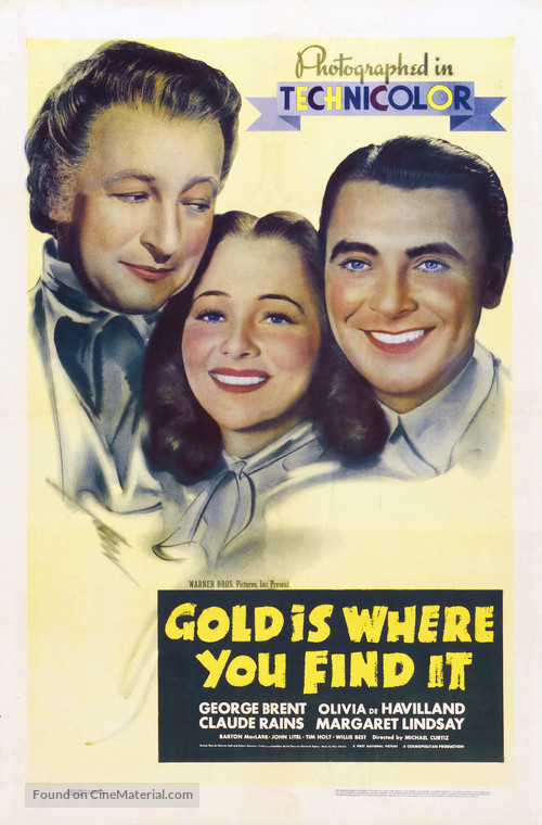 Gold Is Where You Find It - Movie Poster