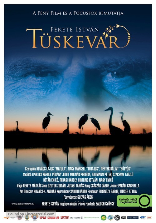 T&uuml;skev&aacute;r - Hungarian Movie Poster