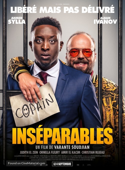 Ins&eacute;parables - French Movie Poster