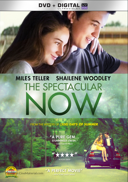 The Spectacular Now - DVD movie cover