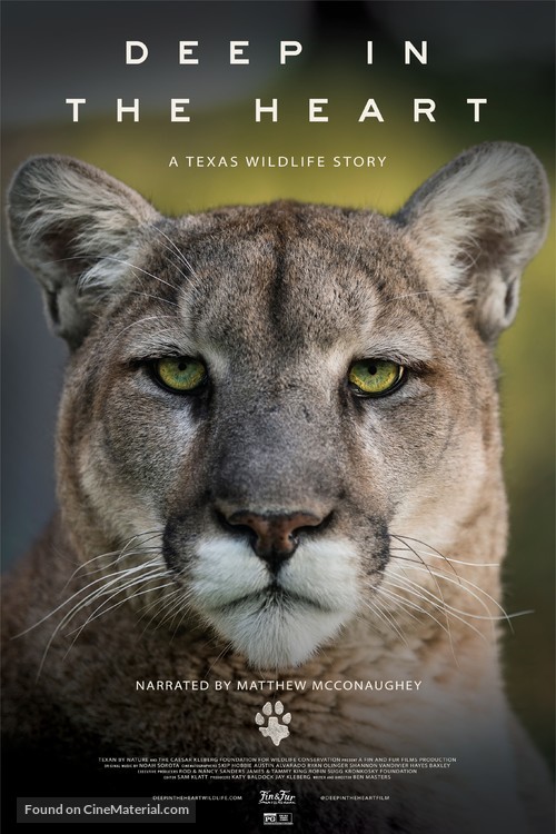 Deep in the Heart: A Texas Wildlife Story - Movie Poster