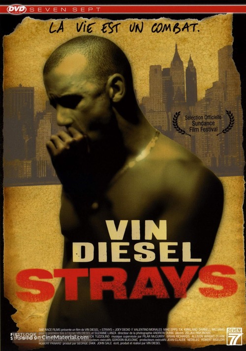 Strays - French DVD movie cover