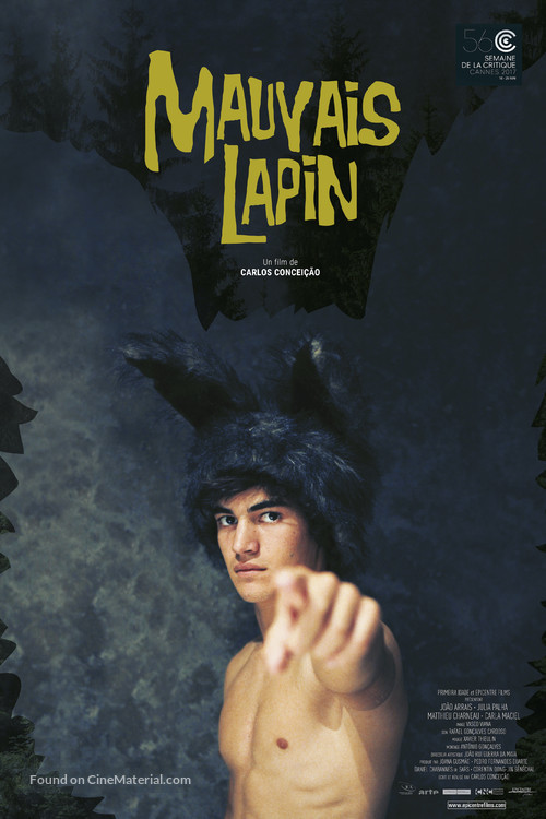 Coelho Mau - French Movie Poster