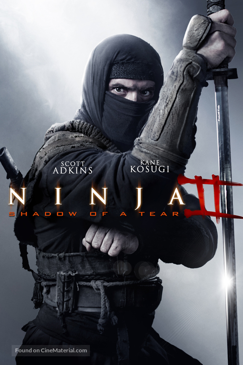 Ninja: Shadow of a Tear - DVD movie cover