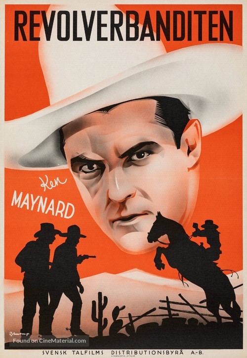 Texas Gun Fighter - Swedish Movie Poster