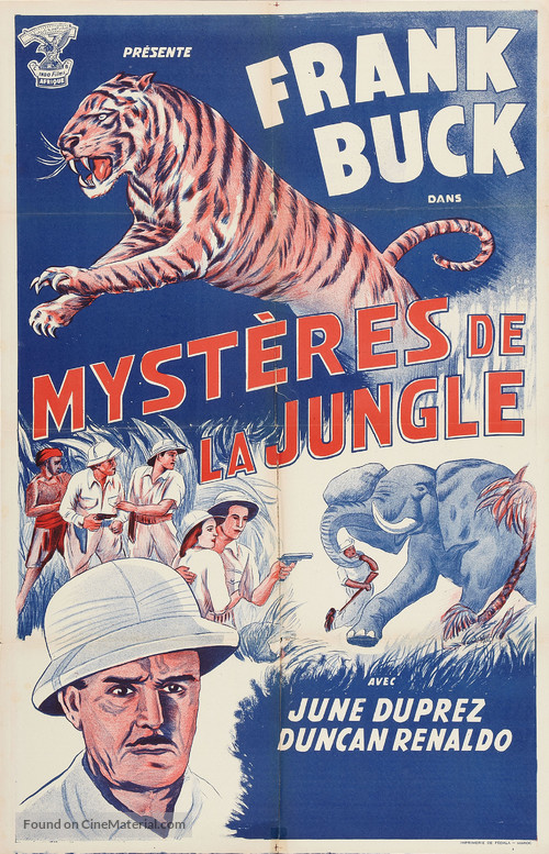 Tiger Fangs - Moroccan Movie Poster