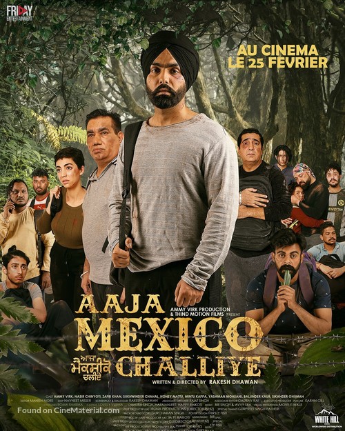 Aaja Mexico Challiye - French Movie Poster