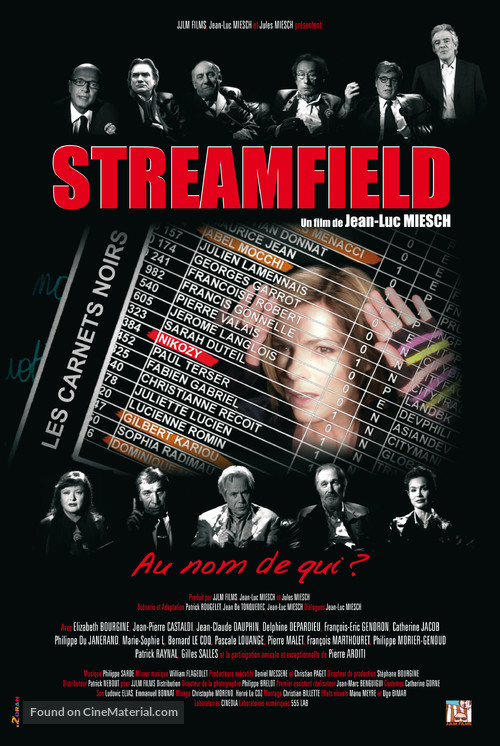 Streamfield, les carnets noirs - French Movie Poster