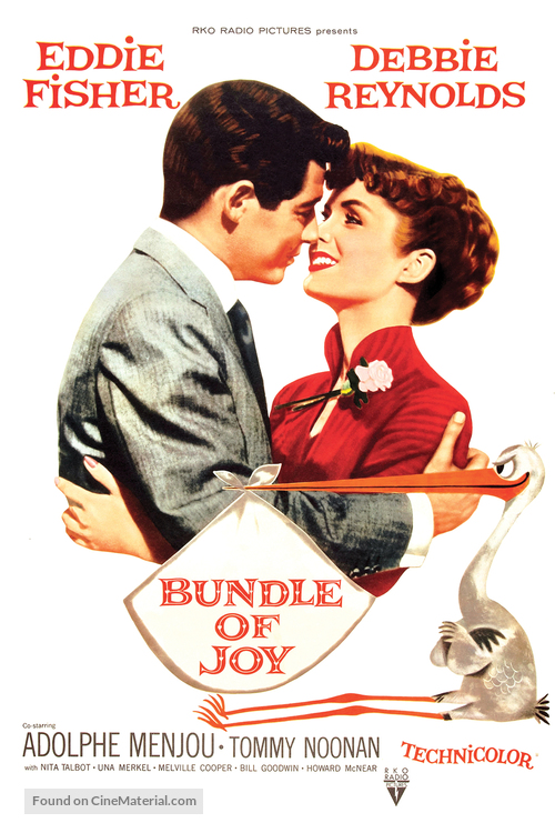 Bundle of Joy - DVD movie cover