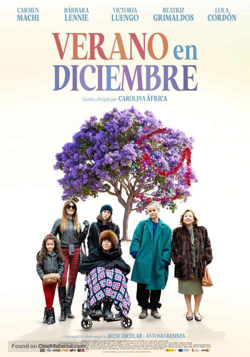 Verano en diciembre - Spanish Movie Poster