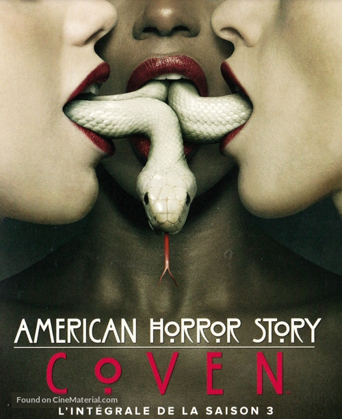 &quot;American Horror Story&quot; - French Blu-Ray movie cover