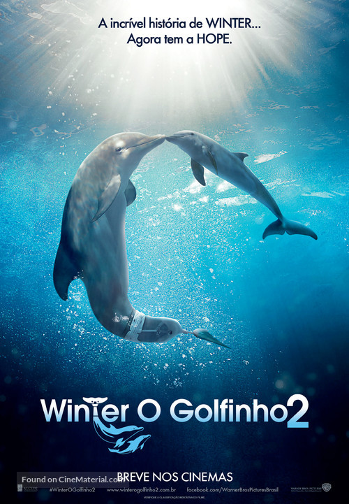 Dolphin Tale 2 - Brazilian Movie Poster