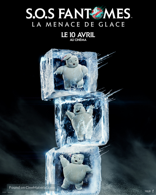 Ghostbusters: Frozen Empire - French Movie Poster