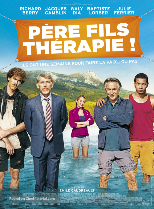 P&egrave;re fils th&eacute;rapie! - French Movie Poster