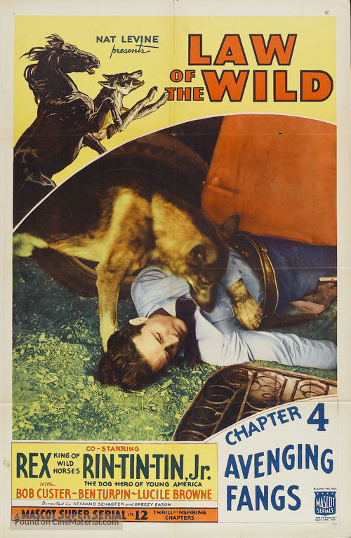 Law of the Wild - Movie Poster