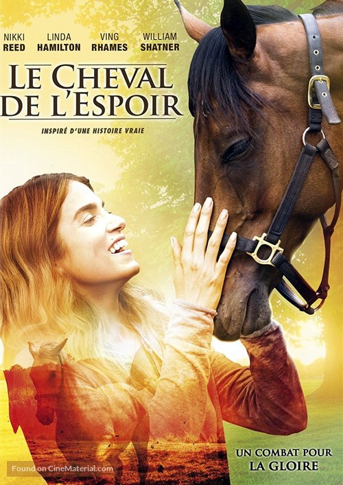 A Sunday Horse - French DVD movie cover