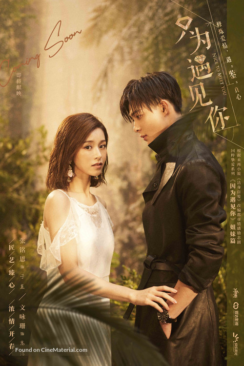 &quot;Nice to Meet You&quot; - Chinese Movie Poster