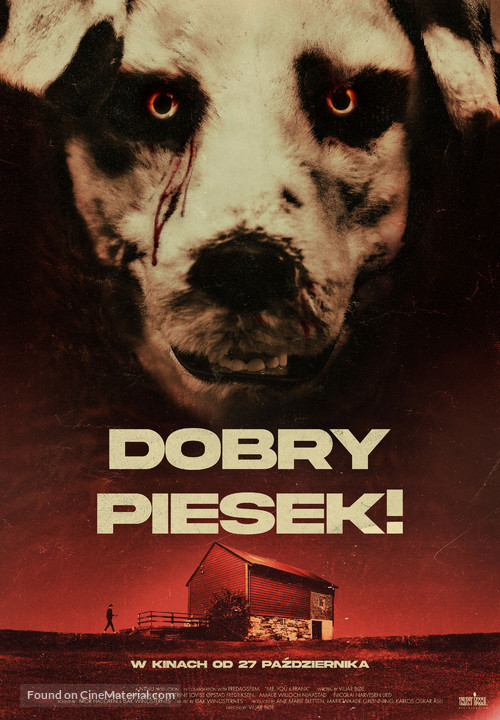Good Boy - Polish Movie Poster