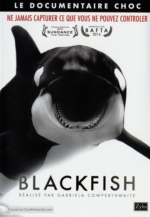 Blackfish - French DVD movie cover