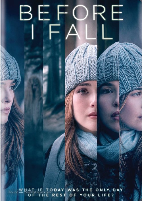 Before I Fall - DVD movie cover