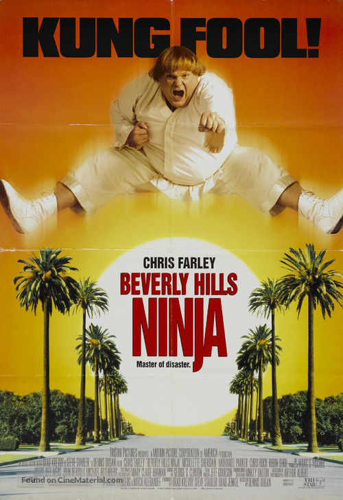 Beverly Hills Ninja - Movie Poster