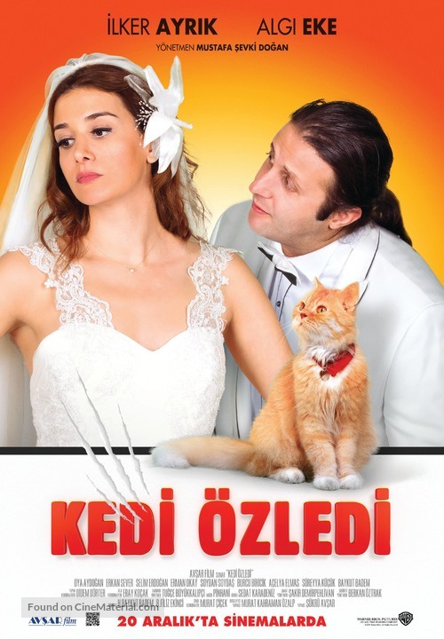 Kedi Ozledi - Turkish Movie Poster
