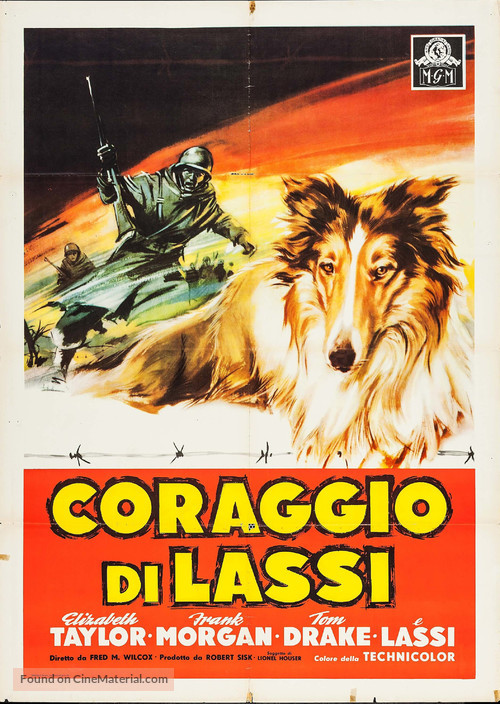 Courage of Lassie - Italian Movie Poster