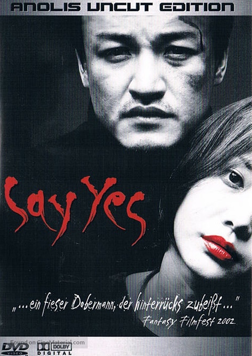 Say Yes - German DVD movie cover