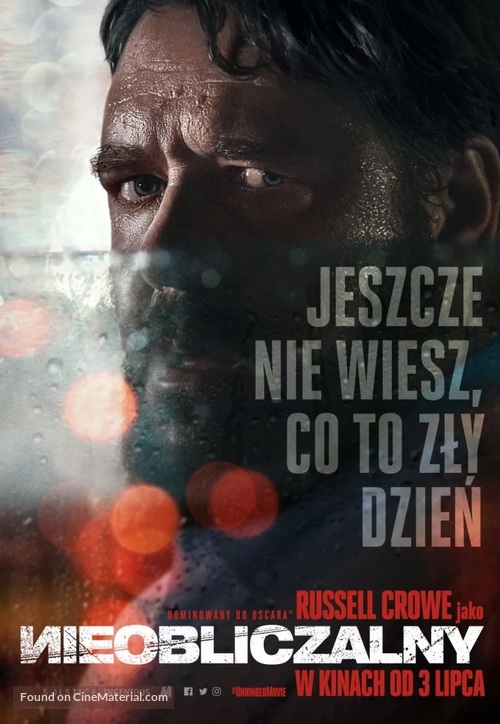 Unhinged - Polish Movie Poster