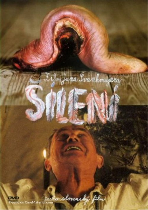 S&iacute;len&iacute; - Czech DVD movie cover