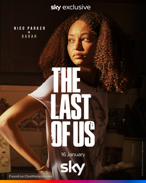 &quot;The Last of Us&quot; - Irish Movie Poster