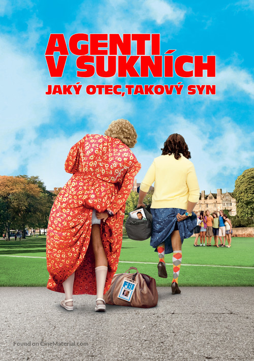 Big Mommas: Like Father, Like Son - Czech Movie Poster