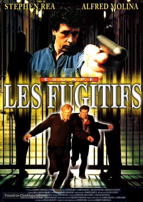 A Further Gesture - French DVD movie cover