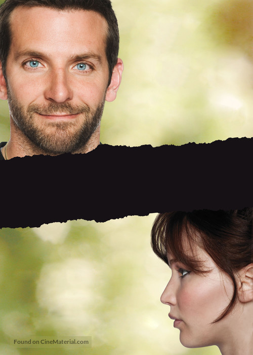 Silver Linings Playbook - Key art