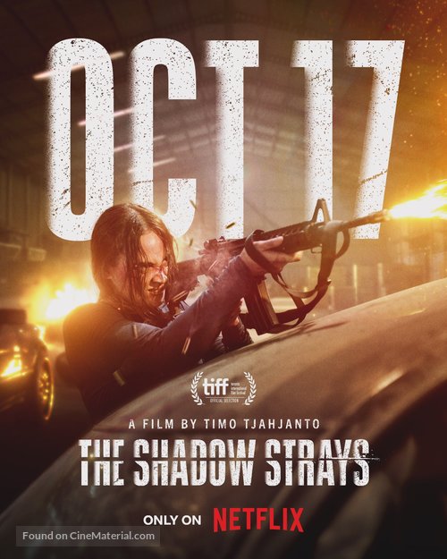 The Shadow Strays - Movie Poster