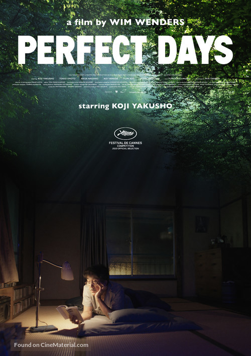 Perfect Days - International Movie Poster