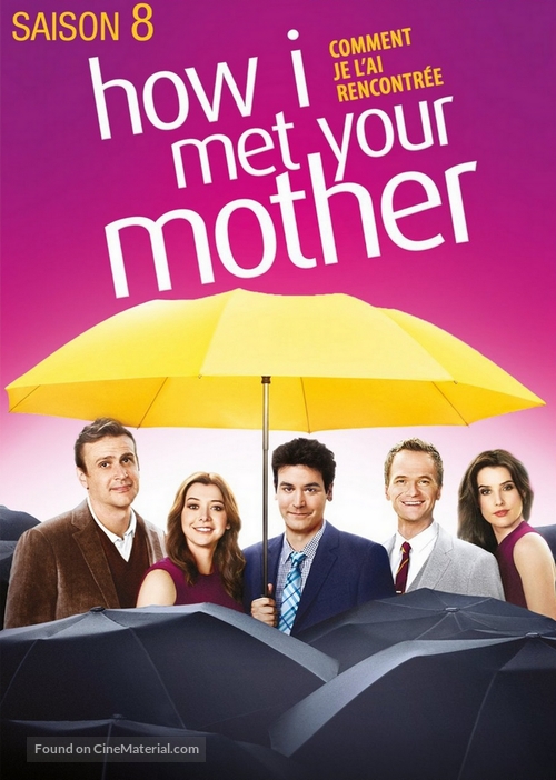 &quot;How I Met Your Mother&quot; - French DVD movie cover