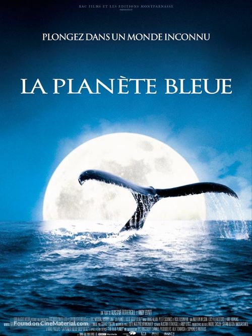 Deep Blue - French Movie Poster