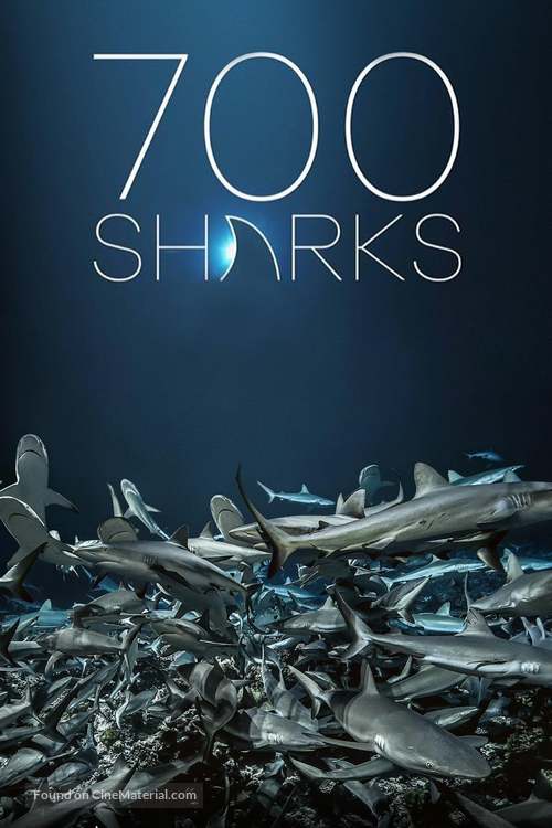 700 requins dans la nuit - poster